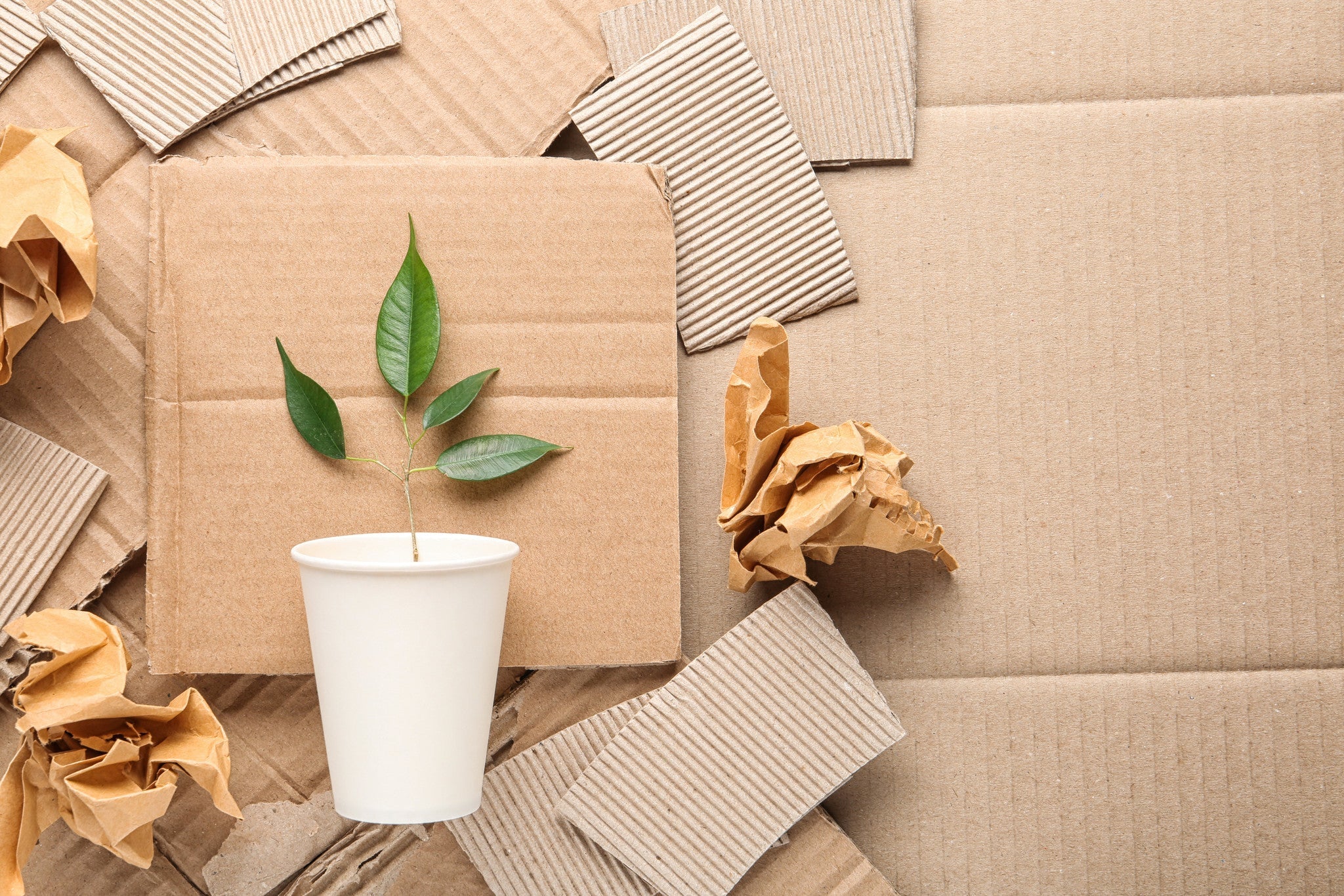 Reycling - Flexgreen GmbH