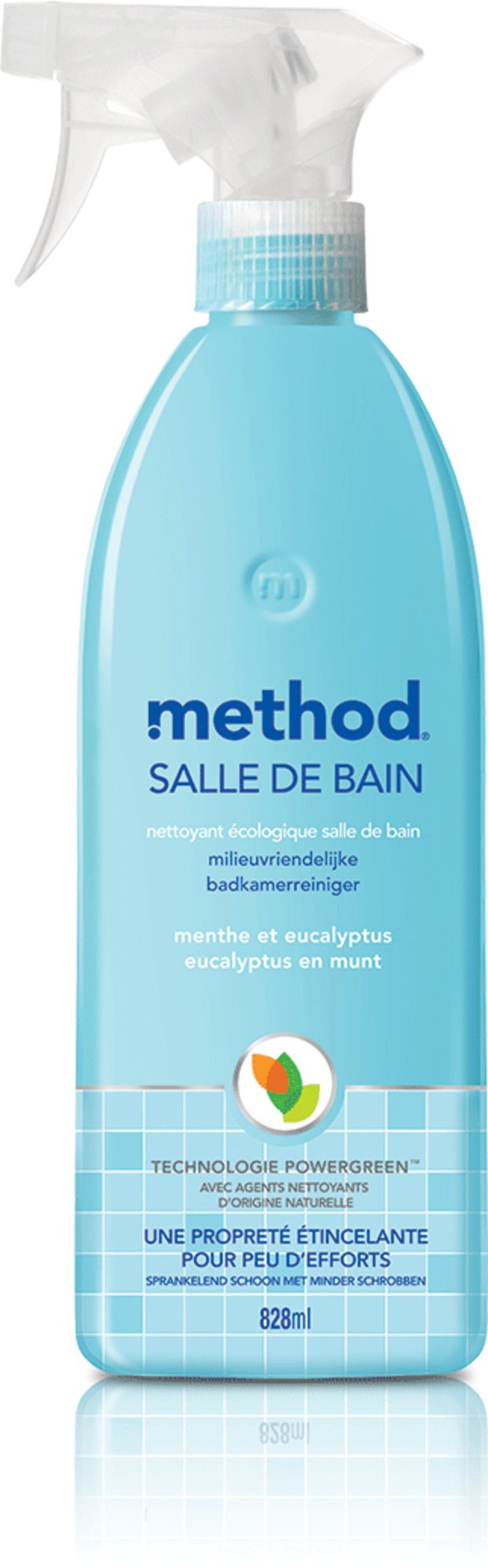 Bad - Reiniger Eukalyptus Mint - hiushaltsreinigung.com