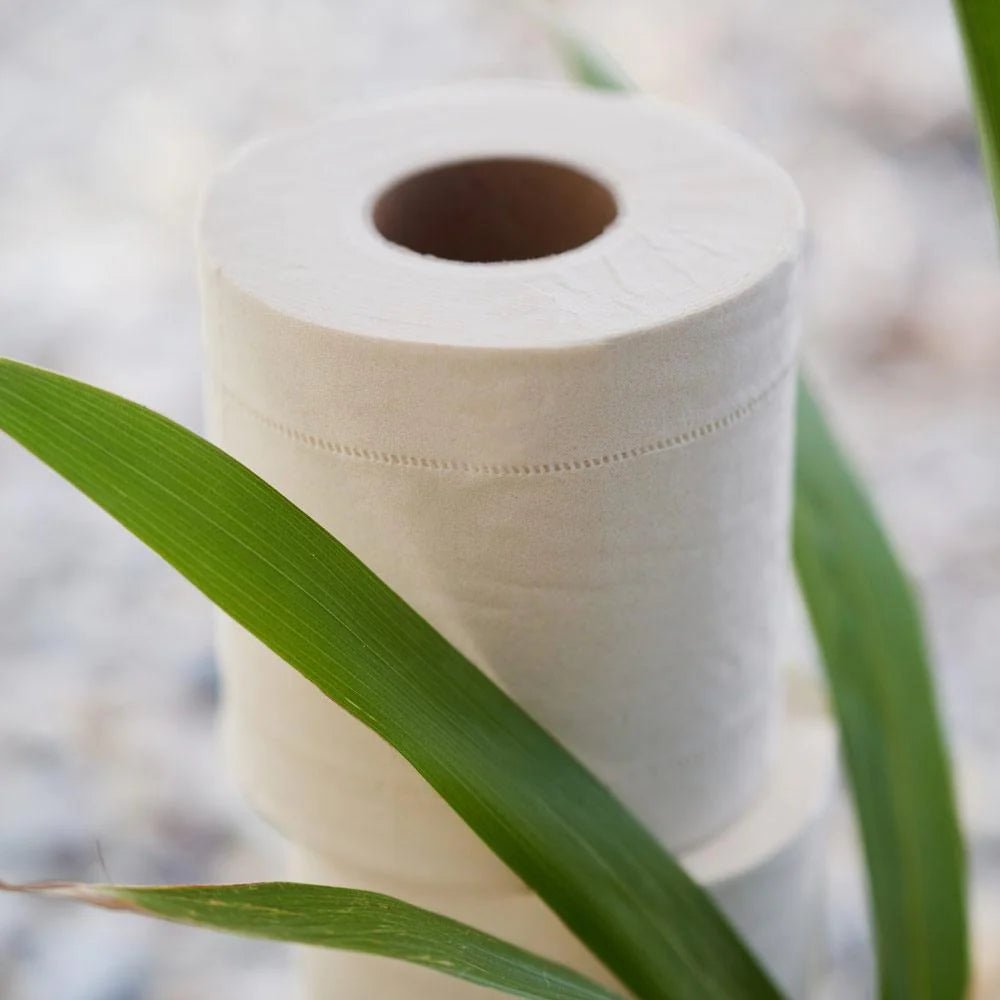 Bambus Toilettenpapier 3 - lagig - hiushaltsreinigung.com