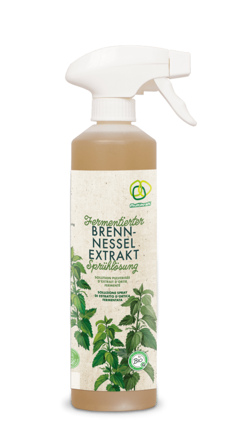 Fermentierter Brennnesselextrakt Sprühlösung - hiushaltsreinigung.com