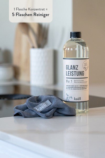 Glanzleistung - hiushaltsreinigung.com
