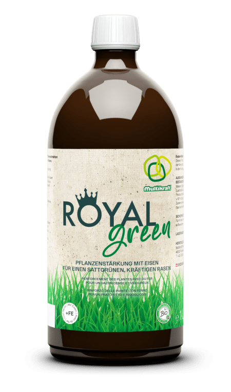 Royal Green 1 Liter - hiushaltsreinigung.com