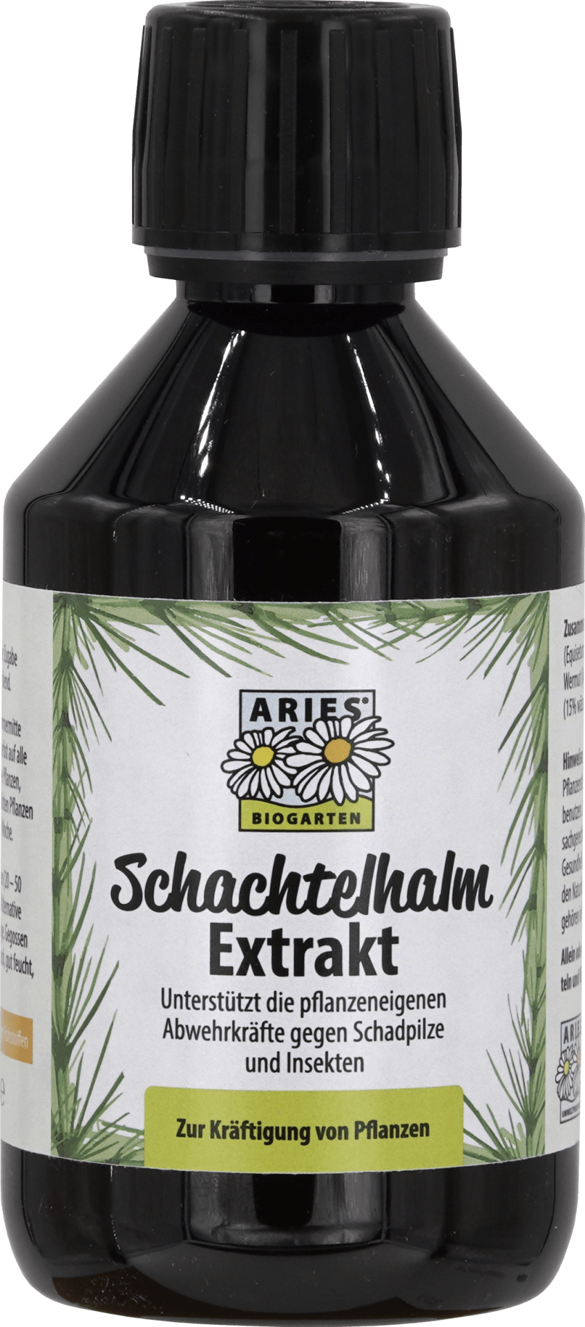 Schachtelhalm Extrakt - hiushaltsreinigung.com