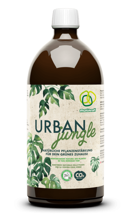 Urban Jungle - hiushaltsreinigung.com