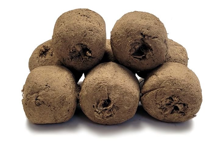 Bio - Samenbomben 8er "Mohnmischung" kbA - hiushaltsreinigung.com
