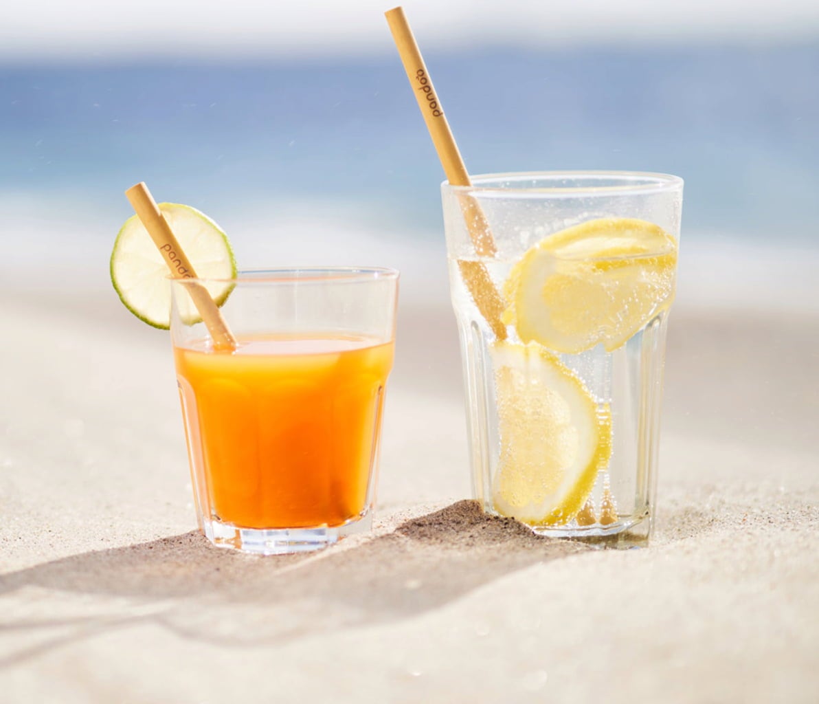 Cocktail Strohhalme aus Bambus, 12er Set inkl Reinigungsbürste - hiushaltsreinigung.com