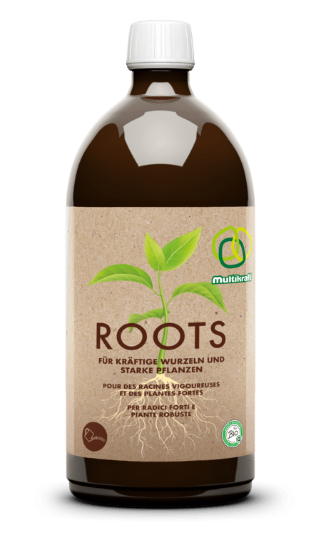Roots - hiushaltsreinigung.com